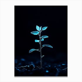 Plant In The Dark 44 Canvas Print