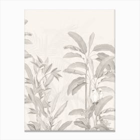 Vintage Tropical Jungle Birds Sepia Canvas Print