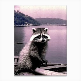 Raccoon On Boat Vintage Photography Canvas Print