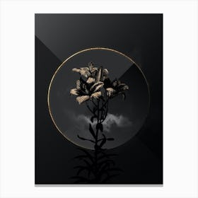 Shadowy Vintage Fire Lily Botanical on Black with Gold n.0180 Canvas Print