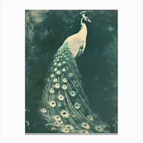 Vintage Peacock Photograph With Feathers Canvas Print
