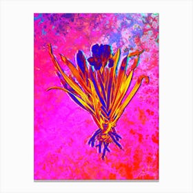 Crimean Iris Botanical in Acid Neon Pink Green and Blue n.0166 Canvas Print