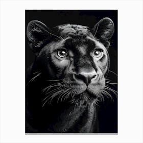 Portrait Of A Panther Canvas Print