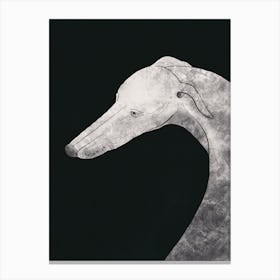Greyhound Grey Canvas Print