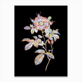 Stained Glass Red Portland Rose Mosaic Botanical Illustration on Black n.0294 Canvas Print