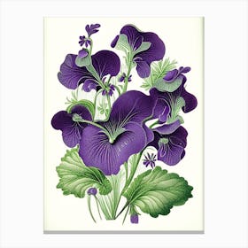 Violets Floral 2 Botanical Vintage Poster Flower Canvas Print