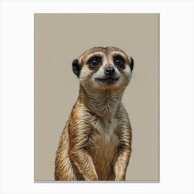 Meerkat 14 Canvas Print