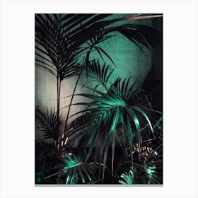 Palms In The Dark Canvas Print