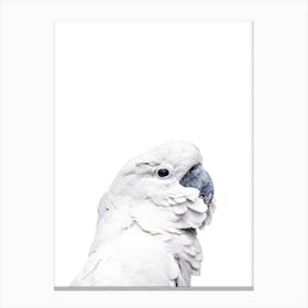 White Parrot Canvas Print