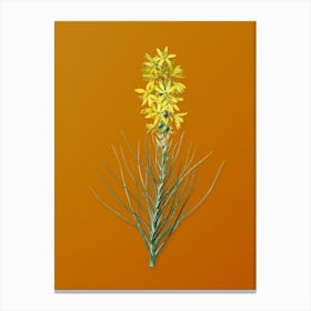 Vintage Yellow Asphodel Botanical on Sunset Orange n.0506 Canvas Print