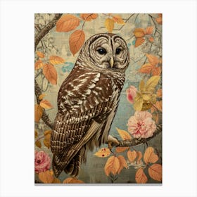 Barred Owl Japanese Painting 1 Canvas Print