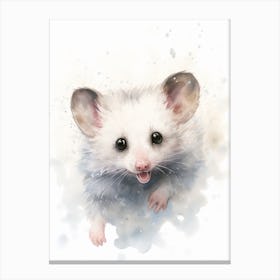 Light Watercolor Painting Of A Acrobatic Possum 3 Canvas Print