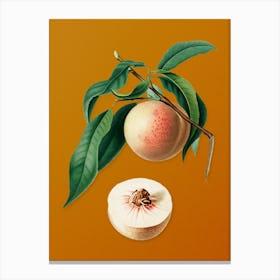 Vintage Peach Botanical on Sunset Orange n.0545 Canvas Print
