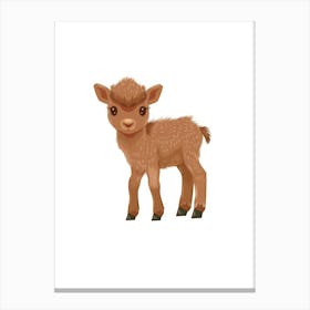 Baby Goat Canvas Print