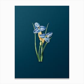 Vintage Sapphire Patersonia Botanical Art on Teal Blue n.0935 Canvas Print