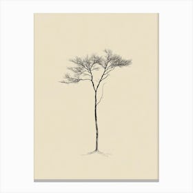 Bare Tree 2 Canvas Print