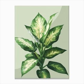 Dieffenbachia Plant Minimalist Illustration 3 Canvas Print