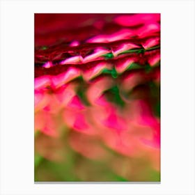 Abstract In Red And Green Canvas Print