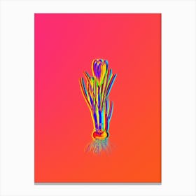 Neon Spring Crocus Botanical in Hot Pink and Electric Blue n.0185 Canvas Print