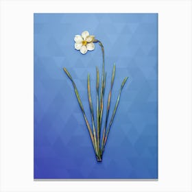 Vintage Narcissus Poeticus Botanical Art on Blue Perennial n.0505 Canvas Print