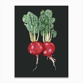 Beets 1 Canvas Print