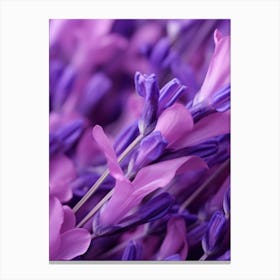 Lavender Flowers 7 Canvas Print