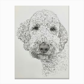 Lagotto Romagnolo Dog Line Sketch 1 Canvas Print