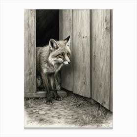 Red Fox Canvas Print