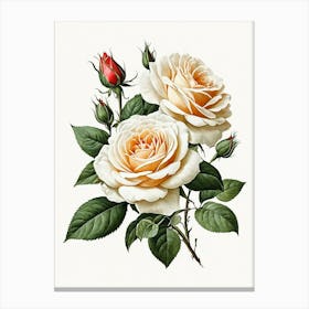 Vintage Galleria Style Rose Art Painting 6 Canvas Print