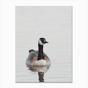 Canadian Goose On Lake Canvas Print