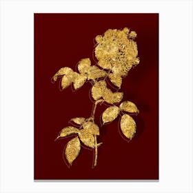 Vintage Seven Sisters Roses Botanical in Gold on Red n.0122 Canvas Print