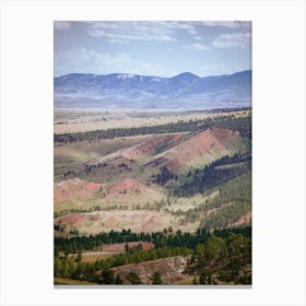 Saguaro National Park Canvas Print