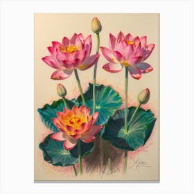 Lotus Canvas Print