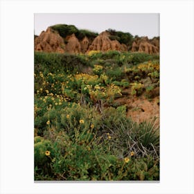 Malibu Mountains Canvas Print