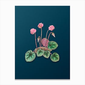 Vintage Shore Cyclamen Flower Botanical Art on Teal Blue n.0514 Canvas Print