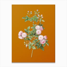Vintage Pink Baby Roses Botanical on Sunset Orange n.0934 Canvas Print