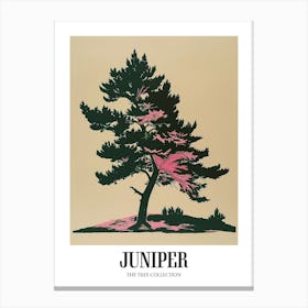 Juniper Tree Colourful Illustration 1 Poster Canvas Print