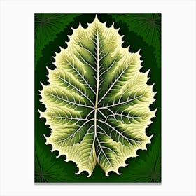 Elm Leaf Vintage Botanical 3 Canvas Print