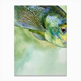 John Dory Storybook Watercolour Canvas Print