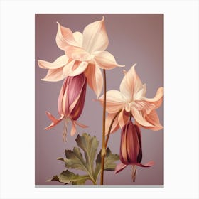 Floral Illustration Columbine 3 Canvas Print