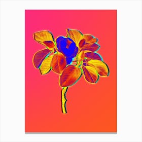 Neon Magnolia Elegans Botanical in Hot Pink and Electric Blue n.0309 Canvas Print