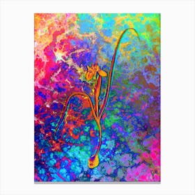 Barbary Nut Botanical in Acid Neon Pink Green and Blue n.0015 Canvas Print
