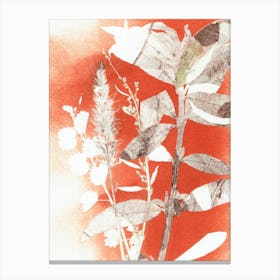 Red botanical plants Canvas Print