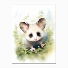 Light Watercolor Painting Of A Baby Possum 6 Canvas Print