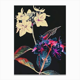 Neon Flowers On Black Hydrangea 2 Canvas Print