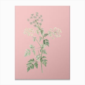 Vintage Hemlock Flowers Botanical on Soft Pink n.0549 Canvas Print