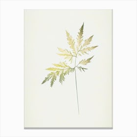 Meadowsweet Leaf Minimalist Watercolour Canvas Print