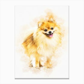 Pomeranian Dog Canvas Print