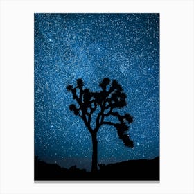 Joshua Tree National Park Stars Canvas Print