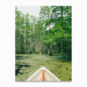 Charleston Cypress Garden on Film Canvas Print